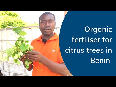 Reportage ABC Grower — agroécologie de terrain