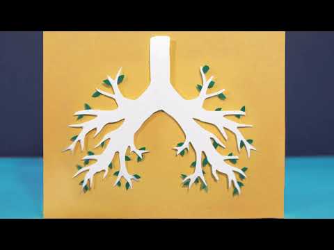 Animation showreel Yu Sun