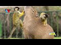 NGEKEWA MNYAMA ANAEPENDWA NA MWENYE BAHATI ZAIDI USICHUKULIEPOA