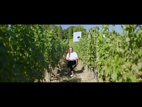 ÉDITION CINÉMATHÈQUE - Château Fleur Cardinale 2023