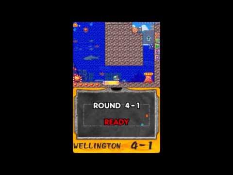 ニュージーランドストーリーDS