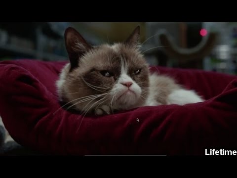Grumpy Cat Movie Trailer Makes Even Grinches Love Christmas