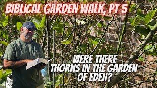 Garden of Eden Mystery 🌳 | Thorns, Beauty & the Bible Garden Walk || DHBG