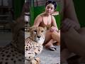 Super Hot Sidhikasharma Playing With Tiger