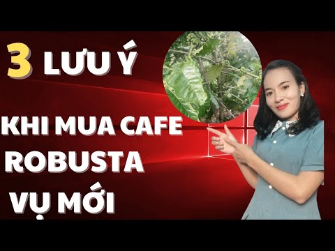 3 Café 89