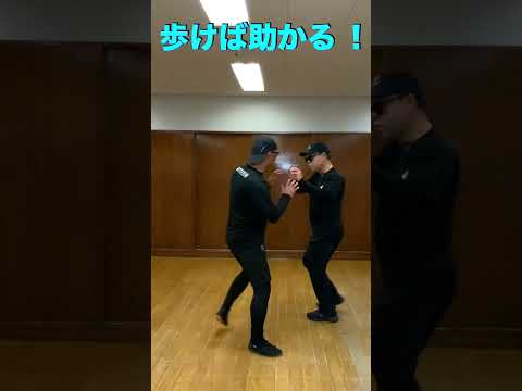 歩けば助かる ！　#武術 #太極拳  #護身術   50代 ♯60代  #転倒防止  #体幹