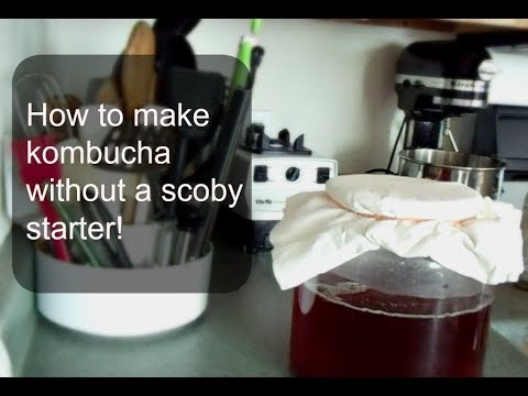 download lagu mp3 mp4 How To Make Kombucha Tea Without Scoby, download lagu How To Make Kombucha Tea Without Scoby gratis, unduh video klip How To Make Kombucha Tea Without Scoby