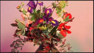 Herbert - Silence (Official Video)