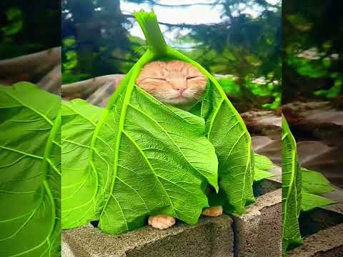 Crystal Skies (sped up)