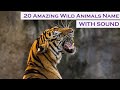 20 Amazing Wild Animals Name And Sound 2023 LION PANTHER MONKEY WOLF