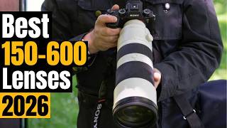 Ultimate Guide: Best 150-600mm & Ultra-Tele Zooms 2026 – Wildlife, Birds & Sports Winners