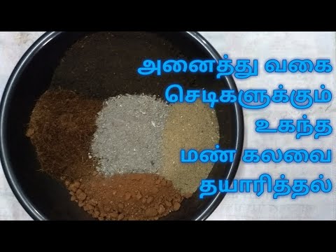 All purpose மண் கலவை || potting soil mix for all type of plants ||