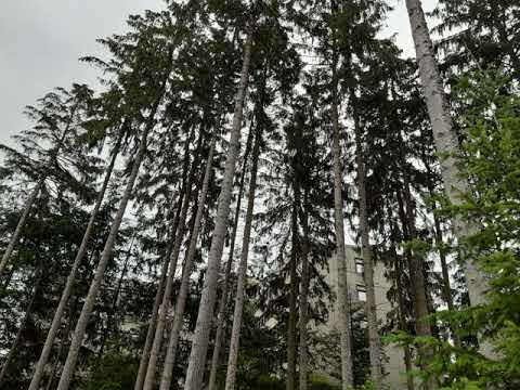 Balkano S. – In Da Clubse 2 [Beat: Tomisuff / Psyk]