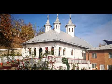 20181111 NICOLAE BALASOIU –  PILDA SAMARINEANULUI MILOSTIV