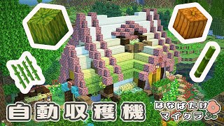 【マイクラ実況】自動収穫所（サトウキビ・竹・かぼちゃ・スイカ）をつくるよ！｜ぱちくら花畑Part.10【マインクラフト】