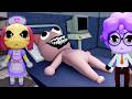 Animal Hospital Anomaly New Update