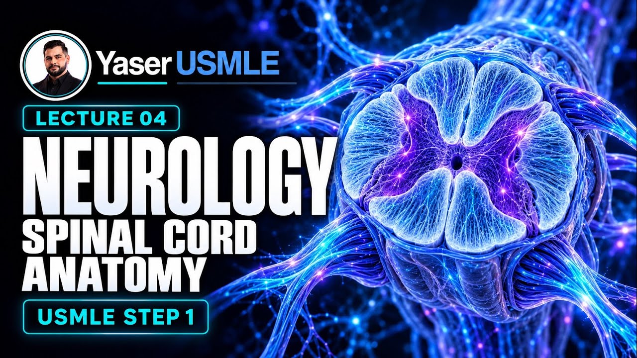 Neurology Lecture 4 (Neuroanatomy - Spinal Cord), USMLE Step1, Dr Yaser