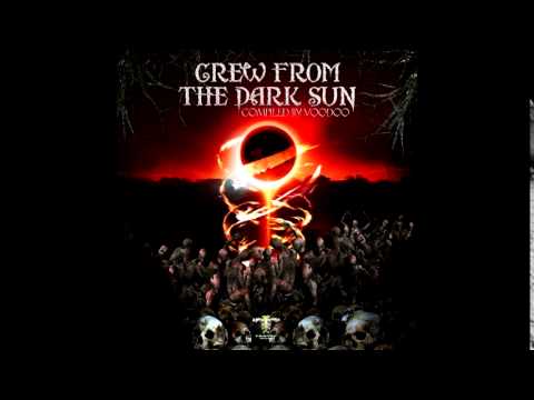 HyperBurst - Photosynthesis