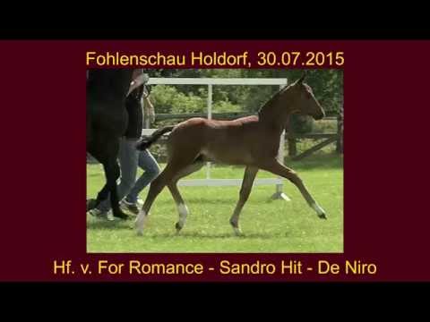 Hf v For Romance x Sandro Hit