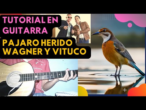 Pájaro Herido - Wagner y Vituco