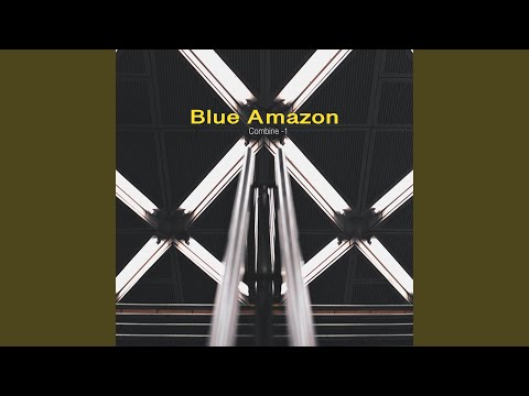 Four Seasons (Blue Amazon & Zak Gee Remix)
