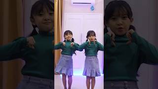 Download lagu AKU DAH LUPA JOGET REMIX #kembar #jogetviral #trends #shorts mp3