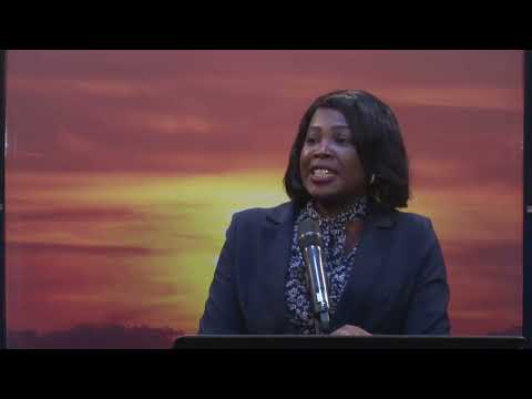 Bibis En Ccb Geven Uitleg Over Aanvraagprocedure Van Paspoorten Van Uit