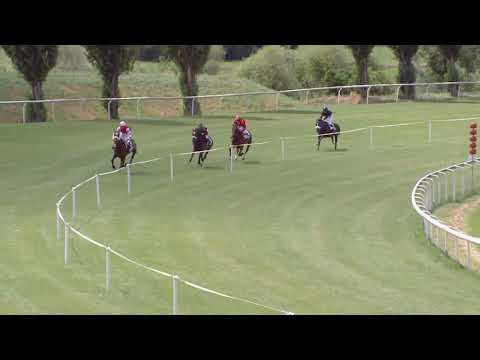 Avenches/13.07.2019/SRV-Nachwuchspreis - Poneys D P1