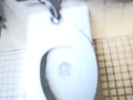 Picture Or Video 142