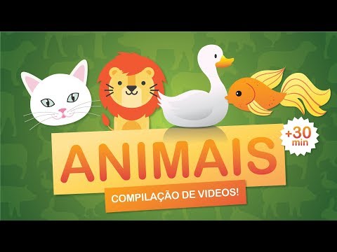 download lagu mp3 mp4 Nossa Vida Com Alice, download lagu Nossa Vida Com Alice gratis, unduh video klip Nossa Vida Com Alice