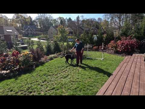 110623 short rally sequence