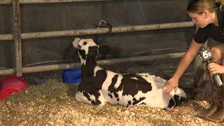 Latest News | Washington County Fair comes to town for its 169th year