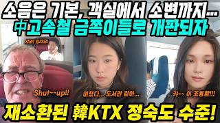 중국반응│무법천지 중국고속철 레전드 빌런들│소음 싸움은 기본 객실바닥에 소변까지... 금쪽이들 때문에 개판된 중국기차 부모들은 나몰라라│재손환된 한국KTX 문화충격│중국어로[路]