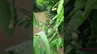 Download lagu #music https://youtube.com/clip/UgkxvYjYjfu1_dUfYLOy3bBQ4wH7w5yLeIZI?si=hBIfe2Vgnu2oCq9a mp3