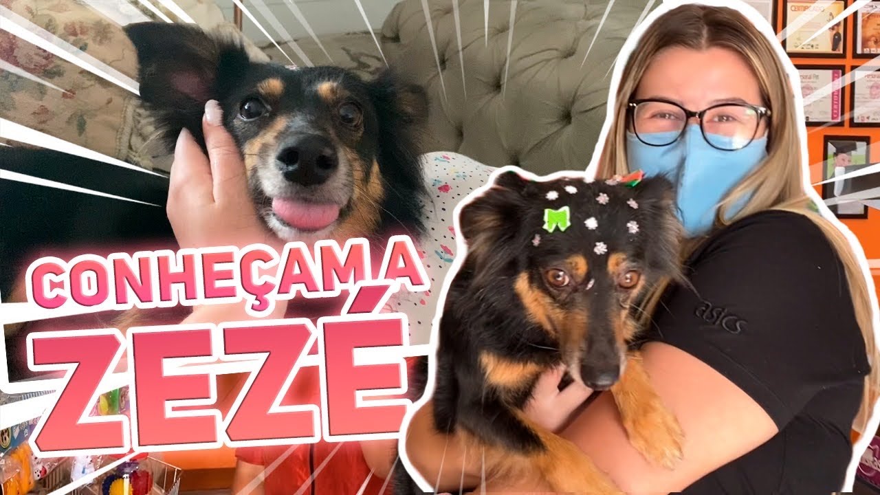 VLOGÃO: Resgatamos uma cachorrinha, muito glamour e noite de queijos