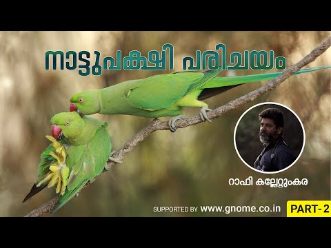 NATTUPAKSHI PARICHAYAM GNOME LIVE RAPHY KALLETTUMKARA - 2