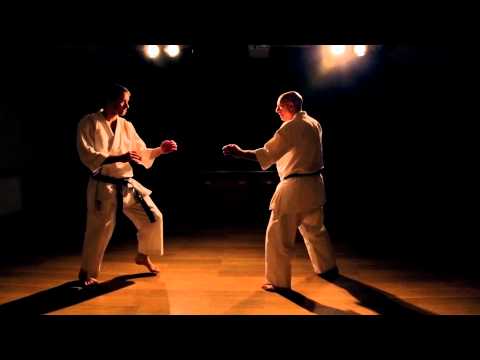 Adaptive Karate Bunkai