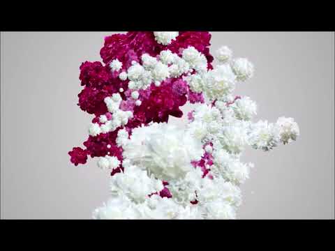 Nimi's Care Academy Introduction | Best Beauty Salon in Kolkata