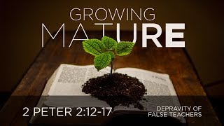 Depravity of False Teachers