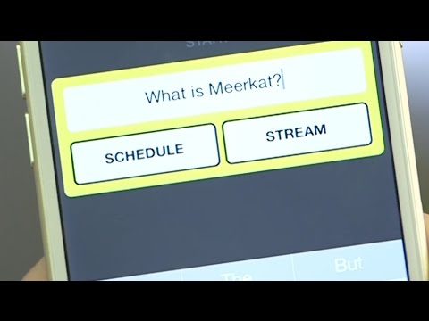 What is Meerkat?