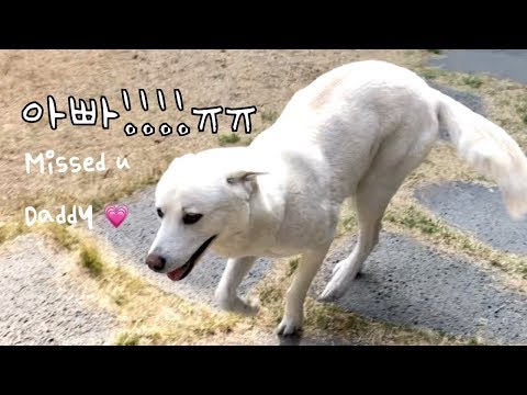 아이콘