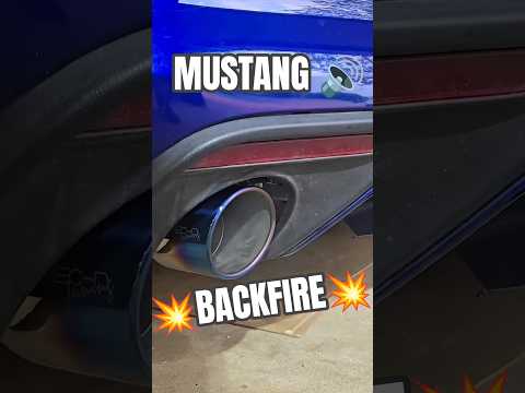 Insane Mustang EcoBoost Exhaust Sound
