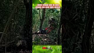 Download lagu KKB snipers are more in control of the battlefield #abdinegara #shortvideo #tniad #bravo #raider ... mp3 Download lagu KKB snipers are more in control of the battlefield #abdinegara #shortvideo #tniad #bravo #raider ... mp3
