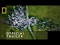 Europe From Above Official Trailer Elevate Your Perspective National Geographic UK