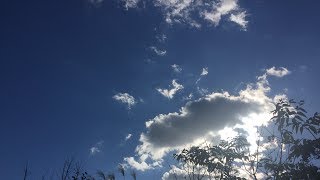 【(please) forgive】BUMP OF CHICKEN／歌おうfavorite songs 187