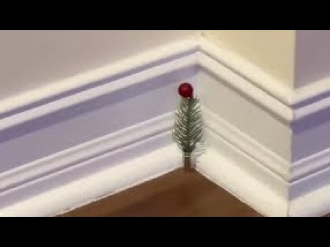 VIRAL FAILS & FUNNY MOMENTS Compilation 2025