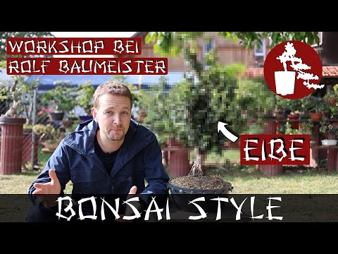 Workshop bei Rolf Baumeister | #073 Bonsai Style