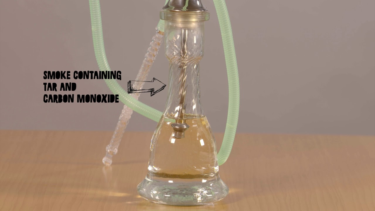 The Waterpipe Tobacco Smoking knowledge Hub WTS - KH (Long English Version)