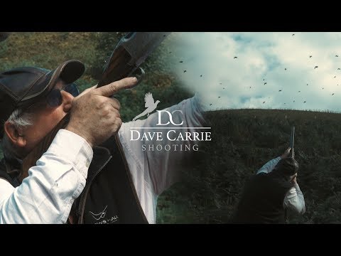 Welsh Gem - Plas Dinam (Best Game Shoots in Britain)