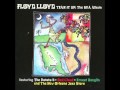 Floyd Lloyd - Mr. Yo Yo